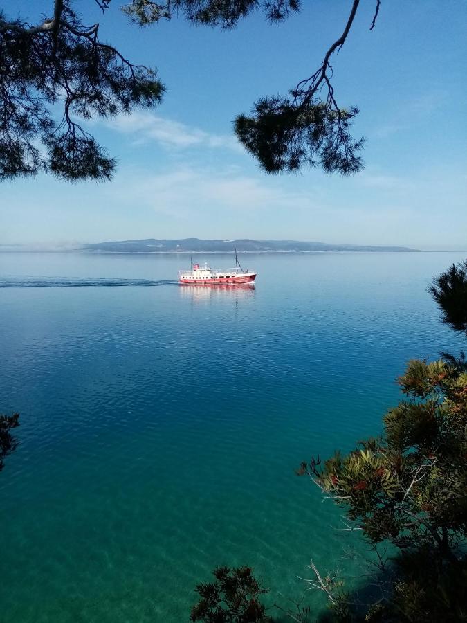 Apartment Hortenzija Baška Voda Εξωτερικό φωτογραφία